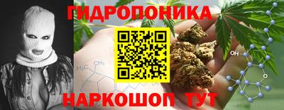 прущие крисы Тара